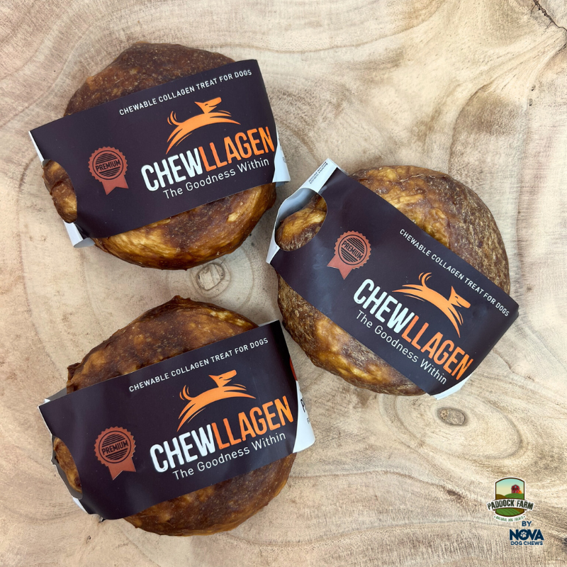 Chewllagen 3.5" Donuts - 2 Flavours 15 Pack