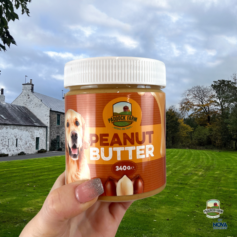 Peanut Butter 340G