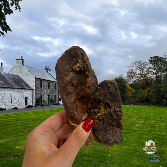 Beef Danglers - Mixed Sizes - 500G/1KG