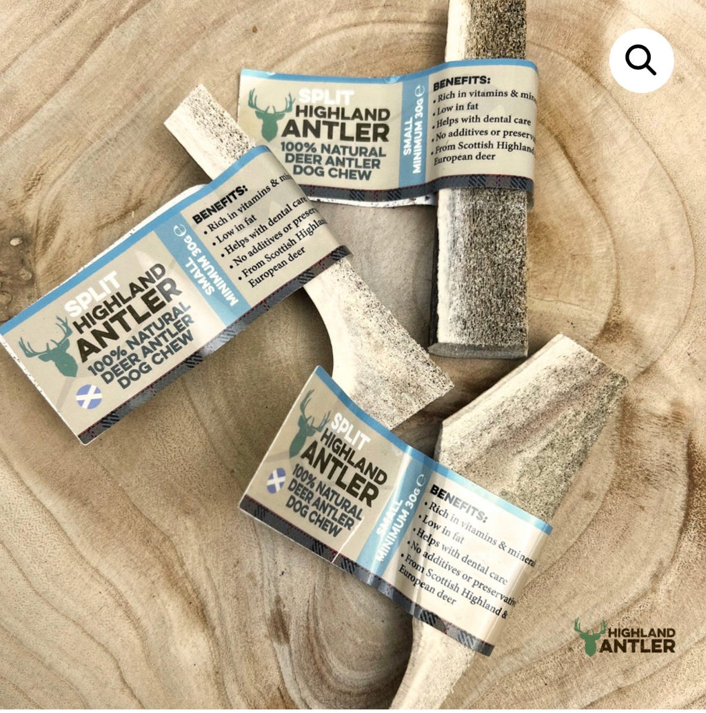 Split Antlers - 4 Sizes Available