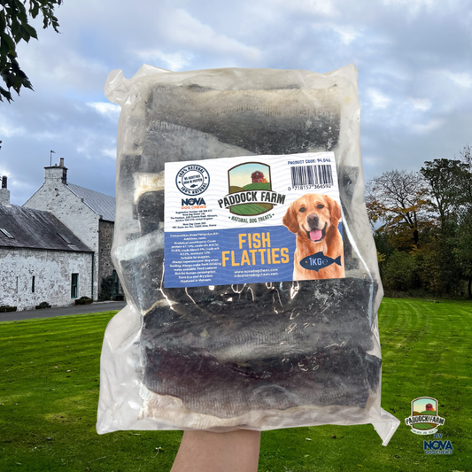 Fish Fatties - 1KG