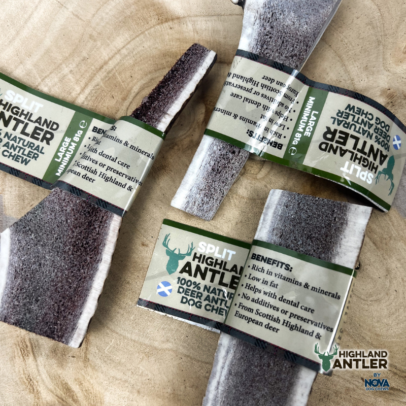 Split Antlers - 4 Sizes Available