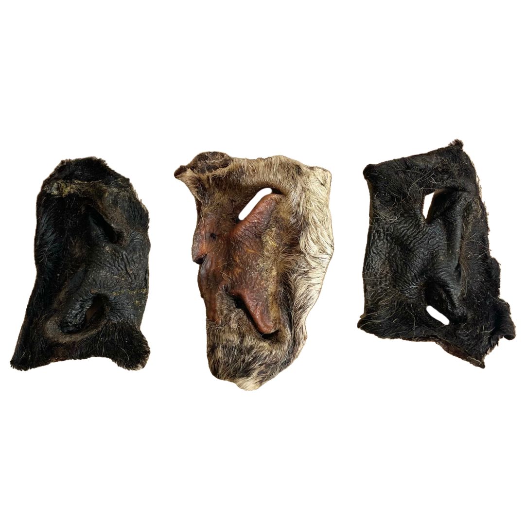 Hairy Beef Snouts - 1KG