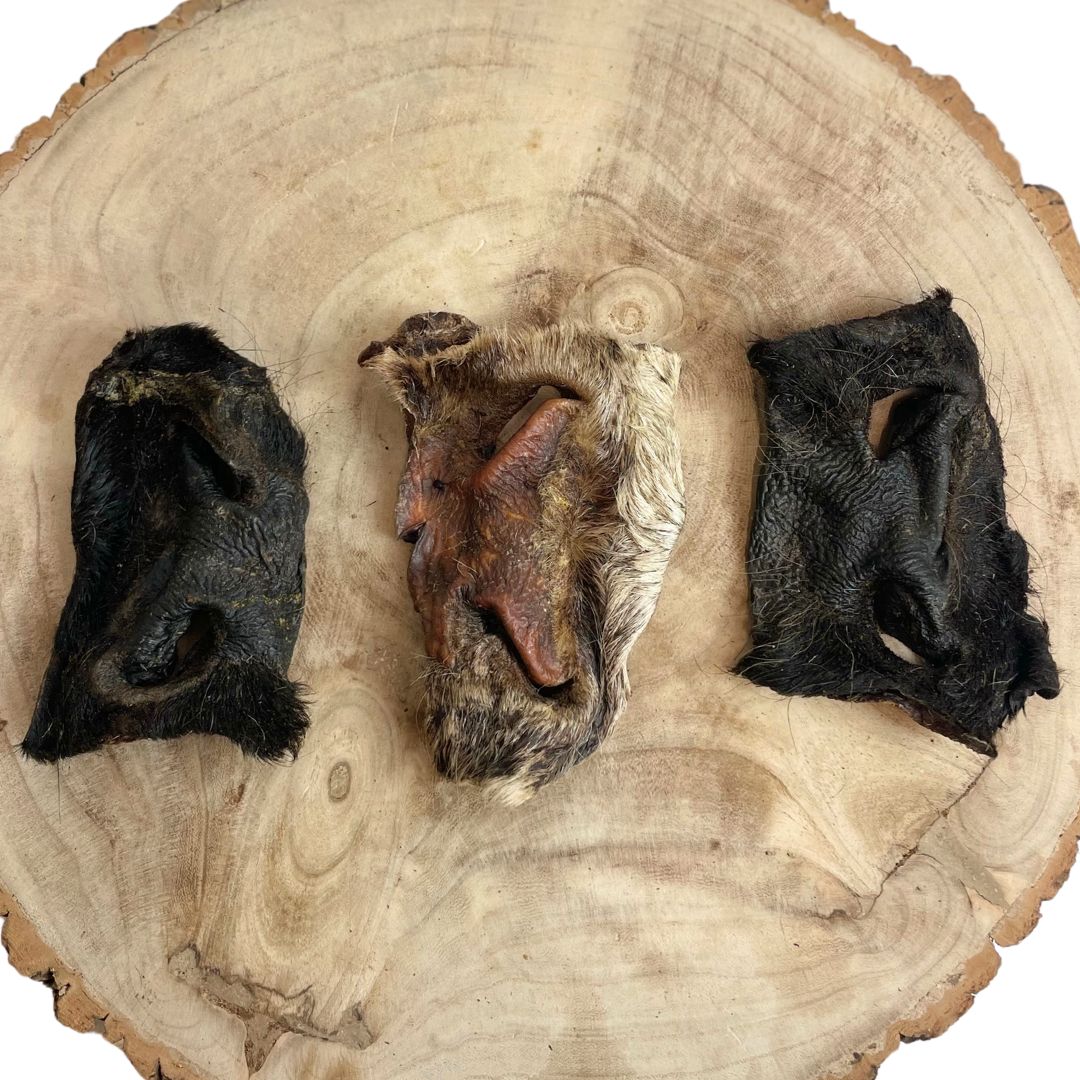 Hairy Beef Snouts - 1KG