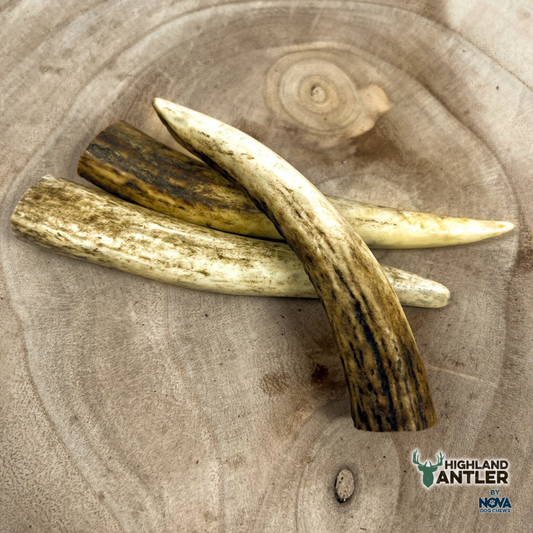 Whole Antlers - 6 Sizes Available