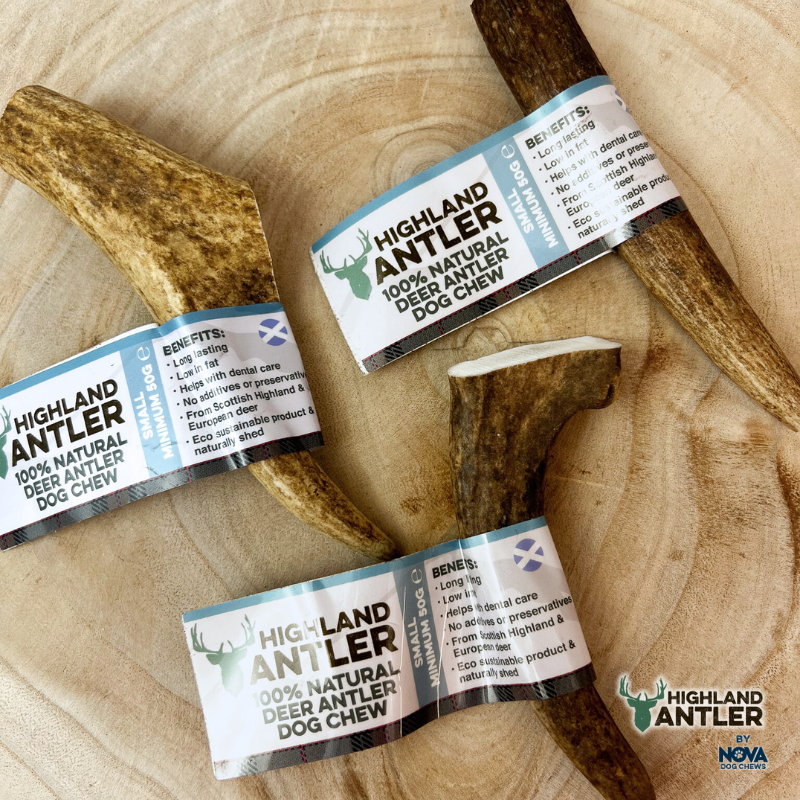 Whole Antlers - 6 Sizes Available