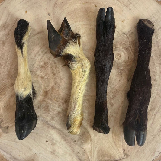 Hairy Lamb Legs - 10/20 Pack