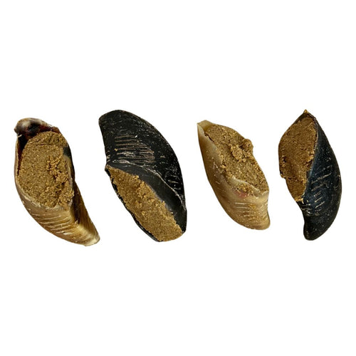 25 x Filled hooves - Peanut Butter Flavoured