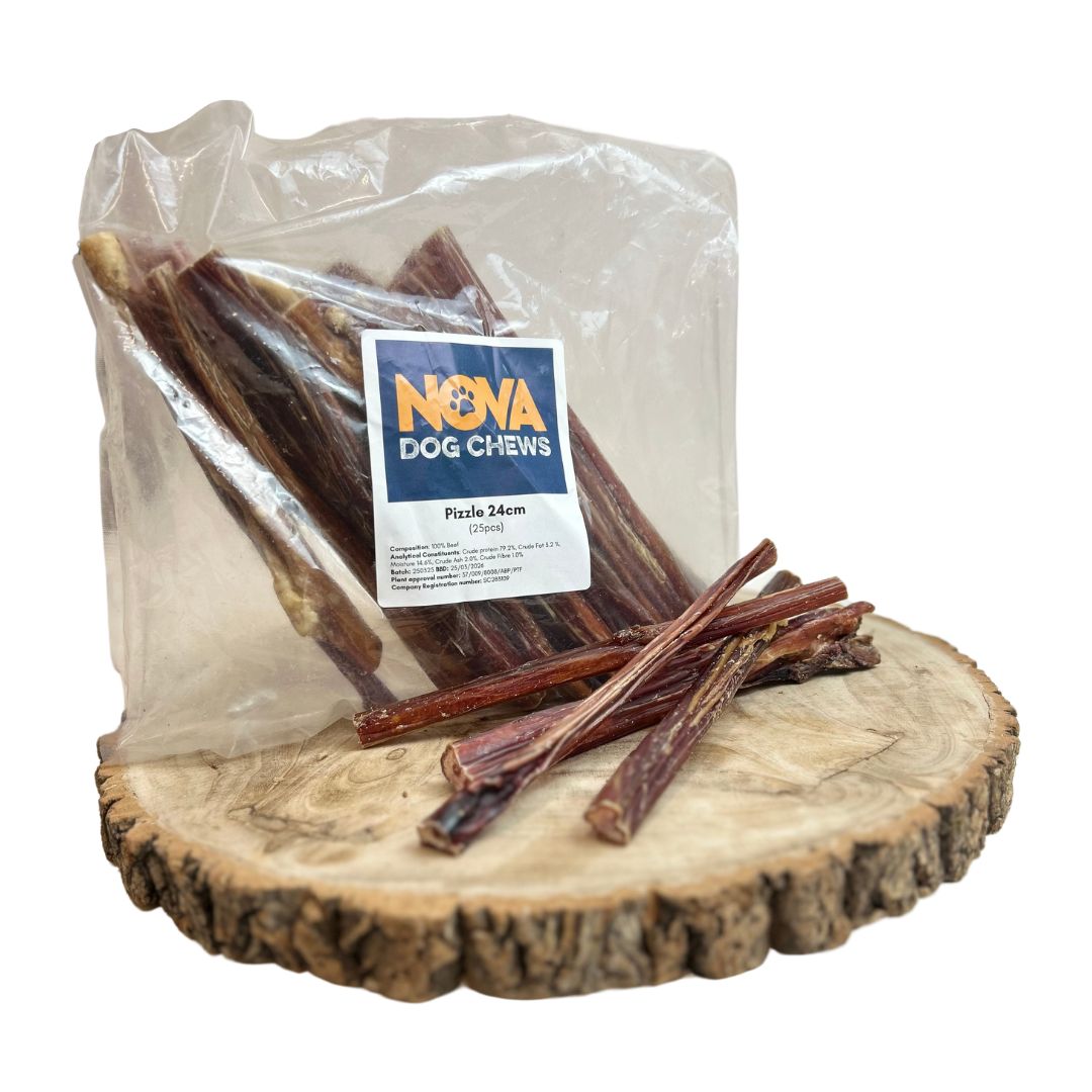 Bull Pizzle - 24CM - British Made - 25 Pack