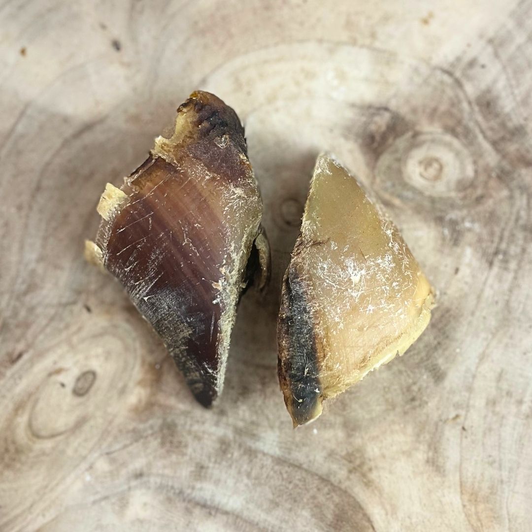 Hooves Unfilled - 30 Pack