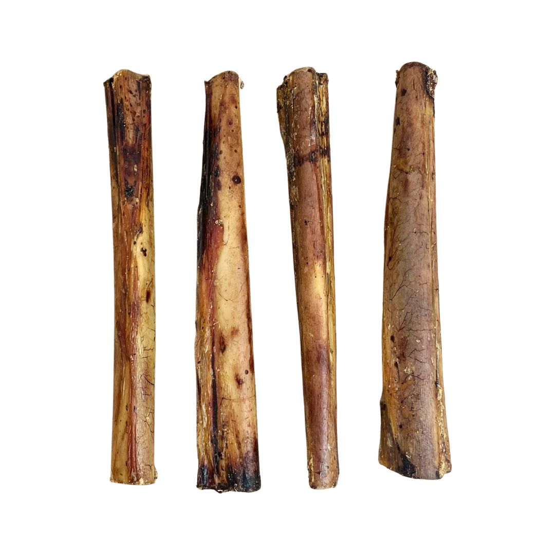 Ostrich Marrow Bones - 18cm - 1/5/10 Bones
